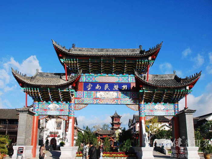 �������ϡ������������