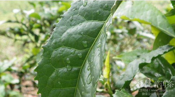 �����ն���