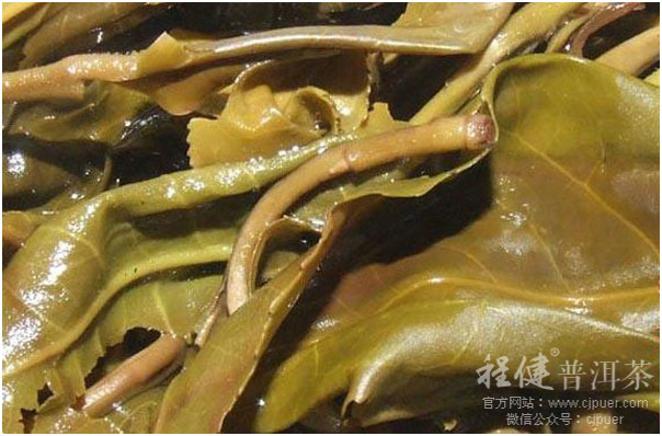 Ұ�������