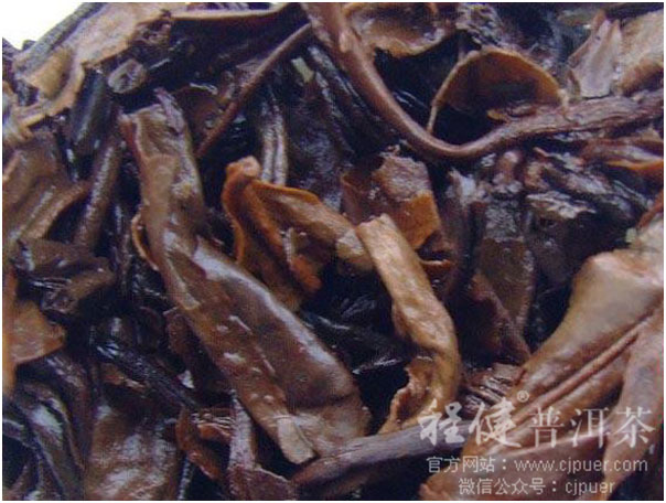 ��������ƥ���ն���