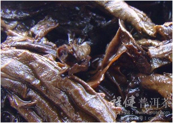 ƴ���ն����