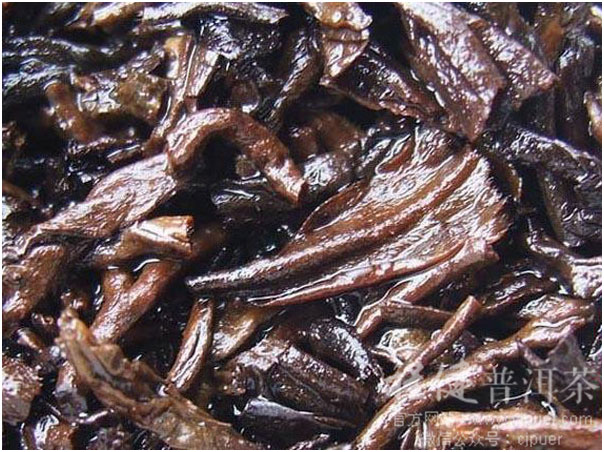 �����ն����