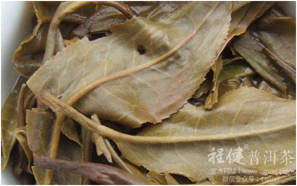 ������ת�����ն���