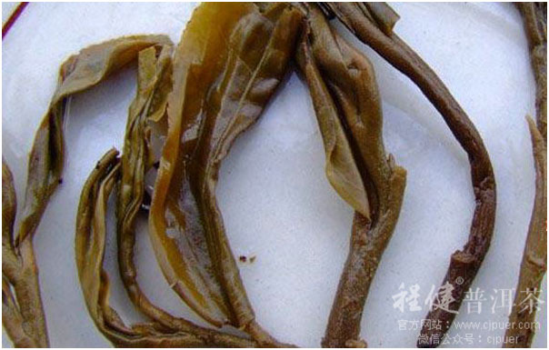 ͷ��̨���ն���