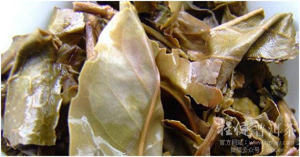 Ҷ����������൱������