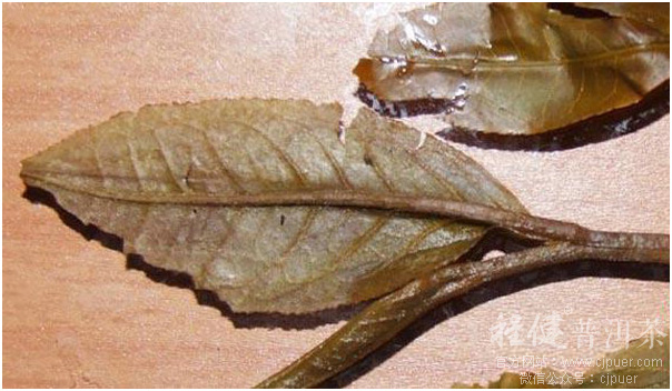 ������ѿ