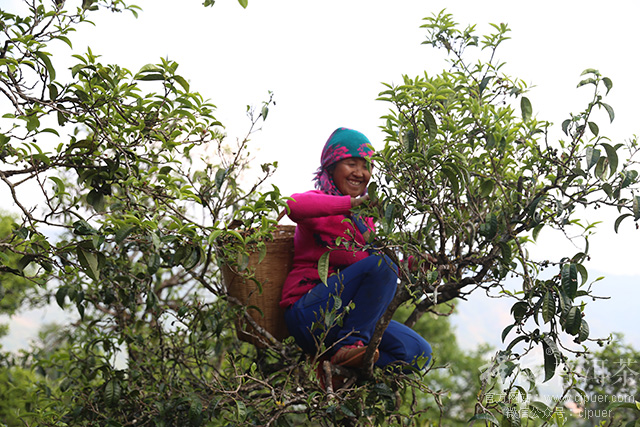 ��ũ���ڲ�ժ������