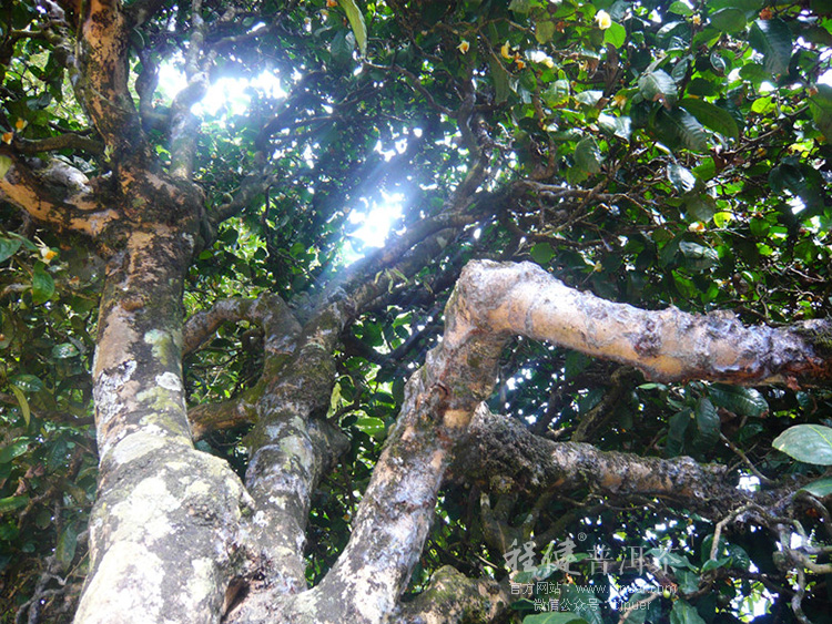 �����ն���