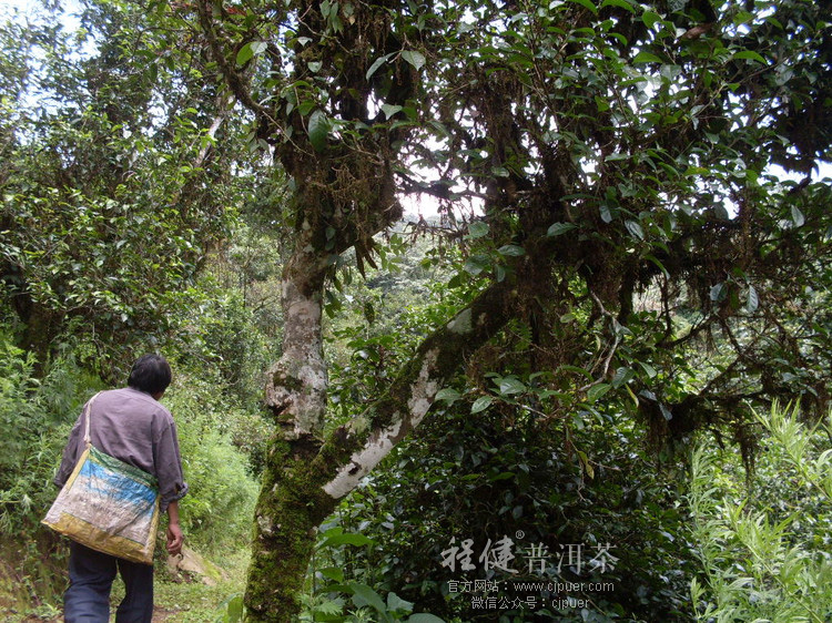 �����ն���