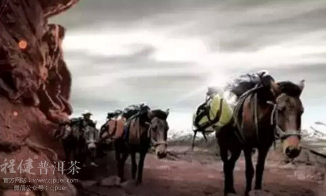  �����ŵ�