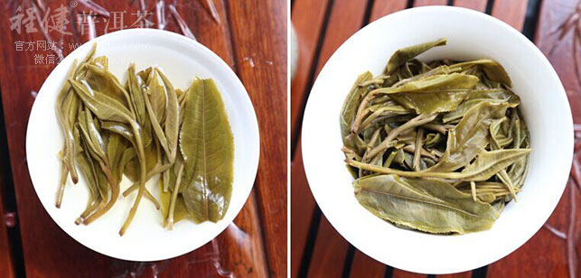 ����Ҷ��