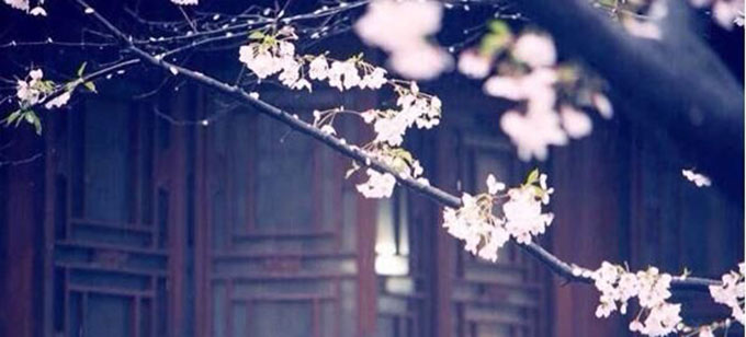 �̽��ն�-���������� ���Ų��˳�����