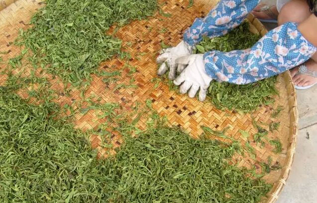 �̽��ն���--���