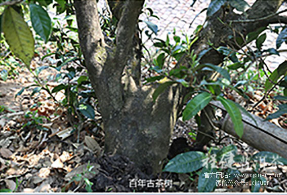 �̽��ն���