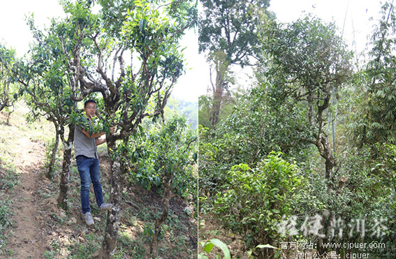 �̽��ն���