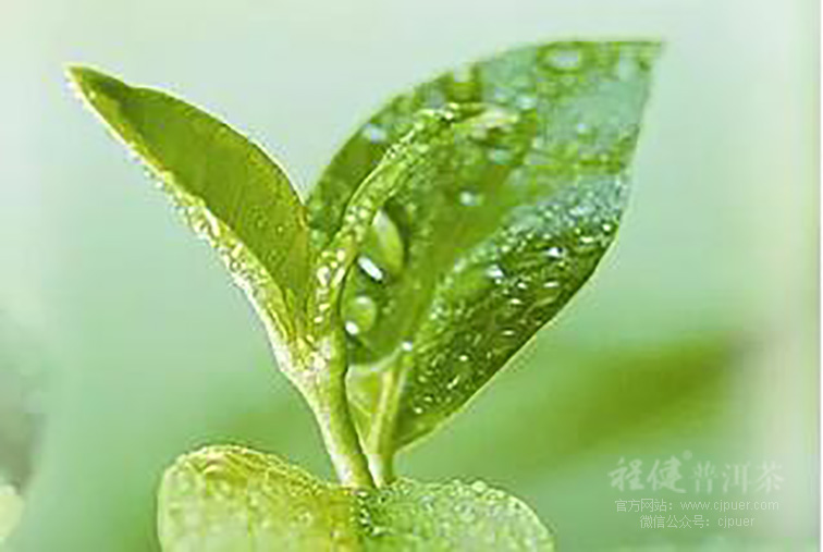 �̽��ն���