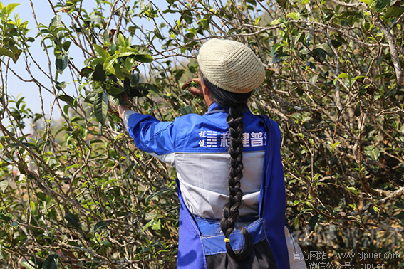 æ��ɽ��ժ����