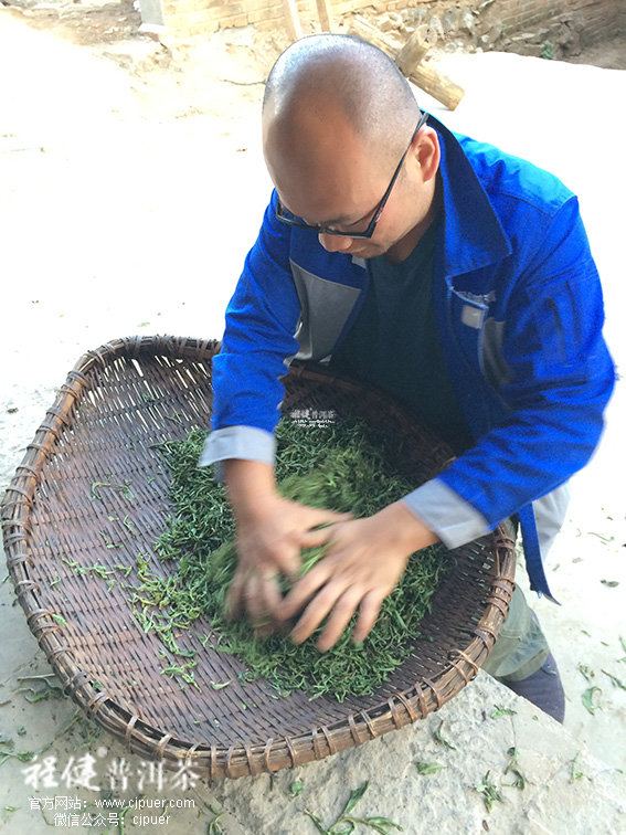 ������Ҷ