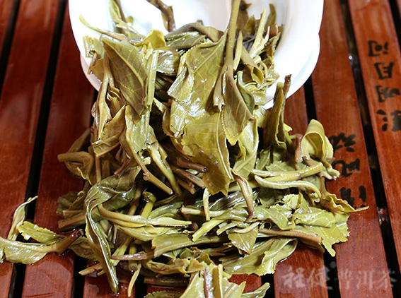 �̽���ѩɽ��Ҷ��