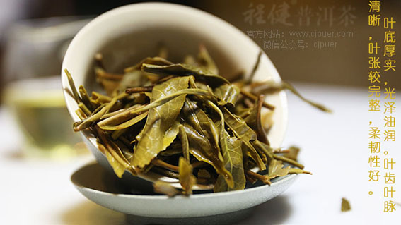 �̽�æ���ն�����Ҷ��