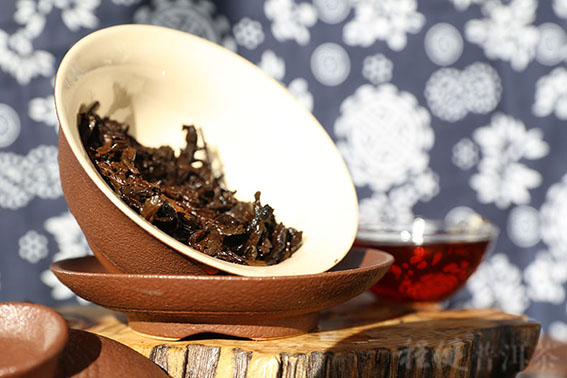 �̽������ն����Ҷ��