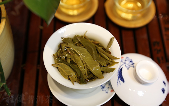 �̽��������ն���Ҷ��