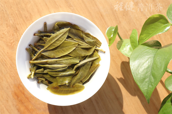 �̽���Ʒϵ��֮Զ־�ն���Ҷ��