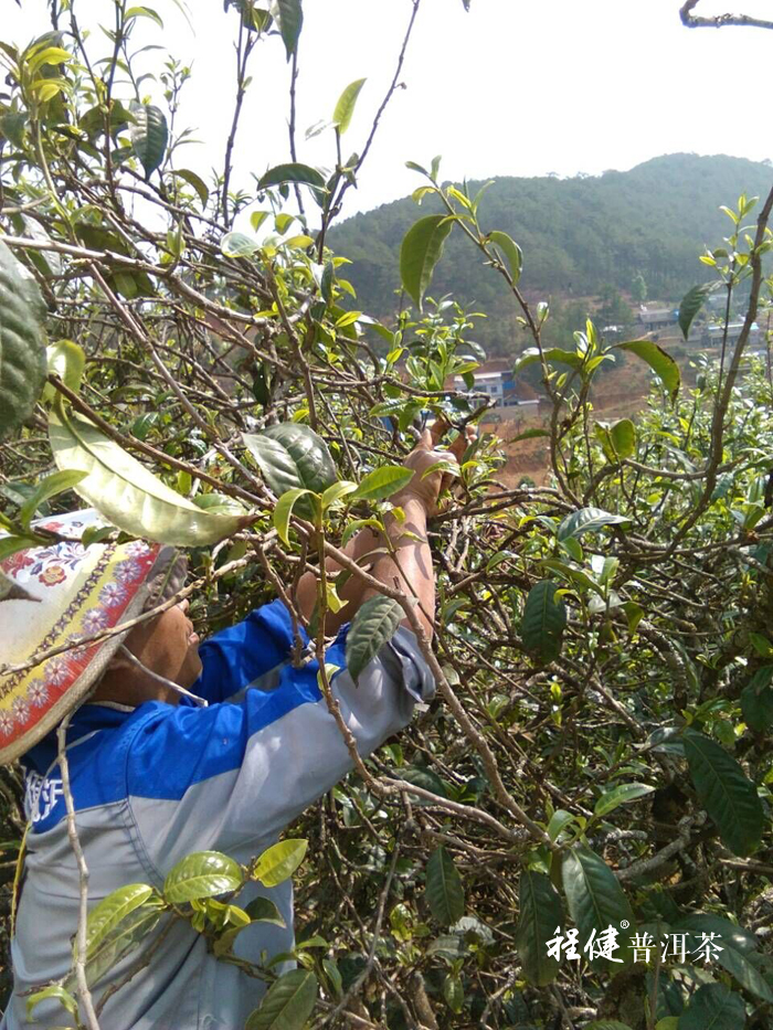 ��ժ�ն���