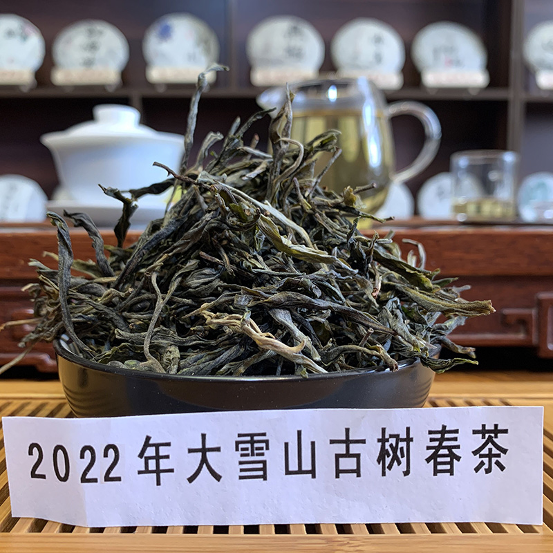 【2022年勐库大雪山春茶】程健普洱茶春茶散茶 大雪山头春茶100克