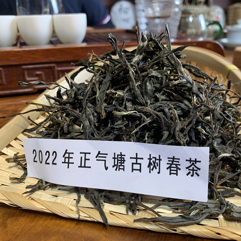 【2022年正气塘春茶散茶】程健普洱临沧东半山正气塘古树春茶100g